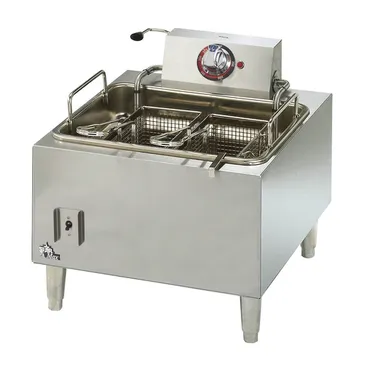 Electric Fryer